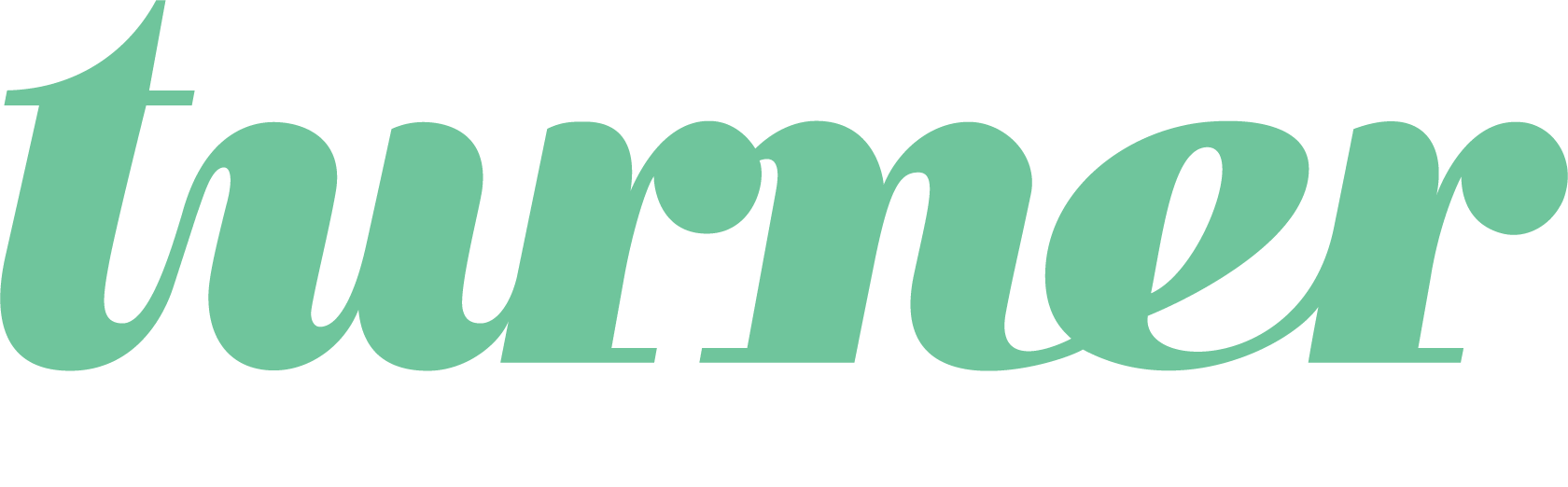 Turner Technology